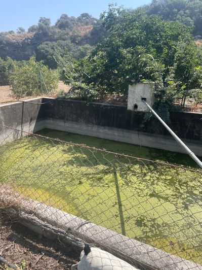 Image No.24-2 Bed Finca for sale