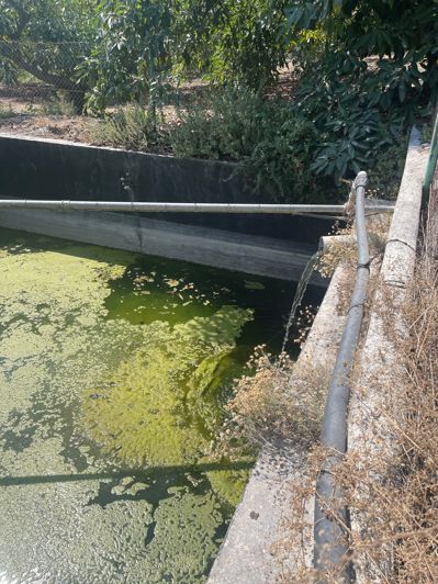 Image No.25-2 Bed Finca for sale