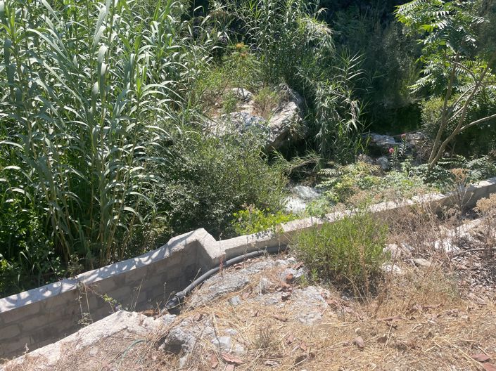 Image No.26-2 Bed Finca for sale