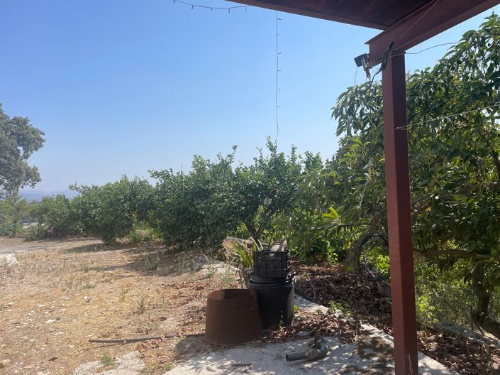 Image No.3-2 Bed Finca for sale