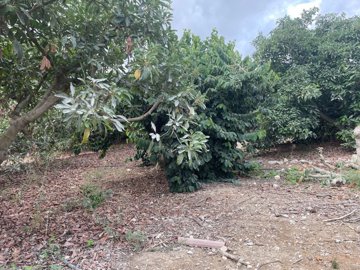 spcrm3875-4xkpham4tbvirsks