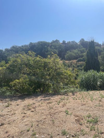 Image No.15-2 Bed Finca for sale