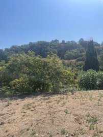 spcrm3875-mqu8oyd0ajblzec0