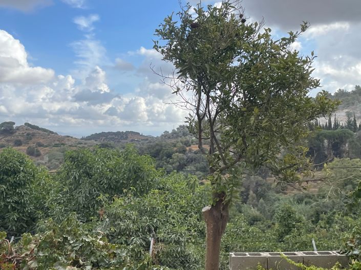 Image No.5-2 Bed Finca for sale