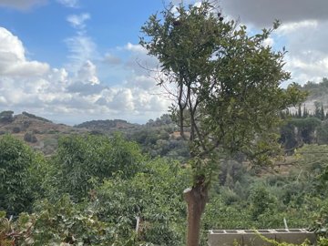 spcrm3875-9xb7yvlblas0oywm