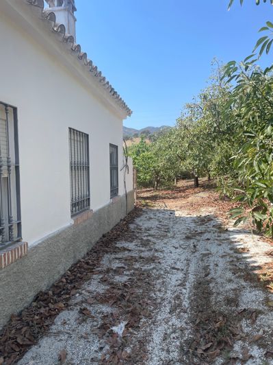 Image No.17-2 Bed Finca for sale