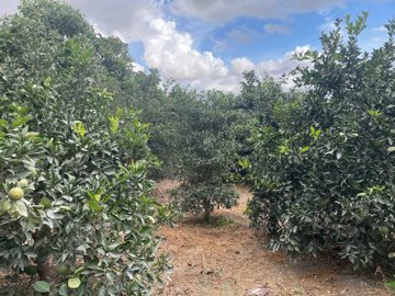 spcrm3875-xkokjbceuadpwaim