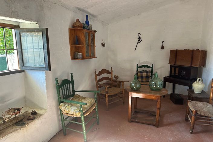 Image No.9-Finca for sale