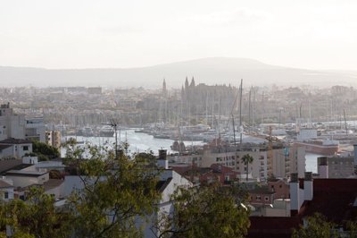 spcrm3793-1xwyhrh8xohsodw6