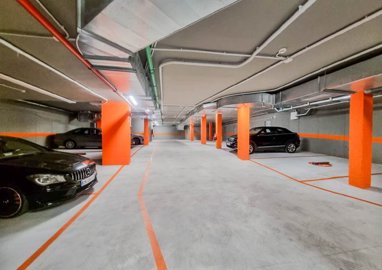 spcrm3929-olczhc0i2uviy9gd