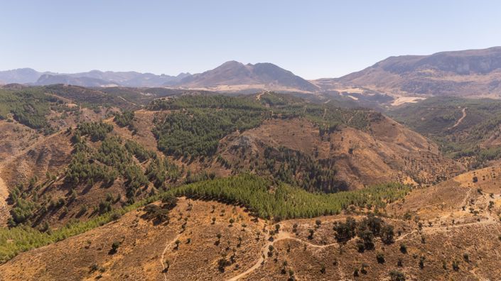 Image No.1-Plot for sale