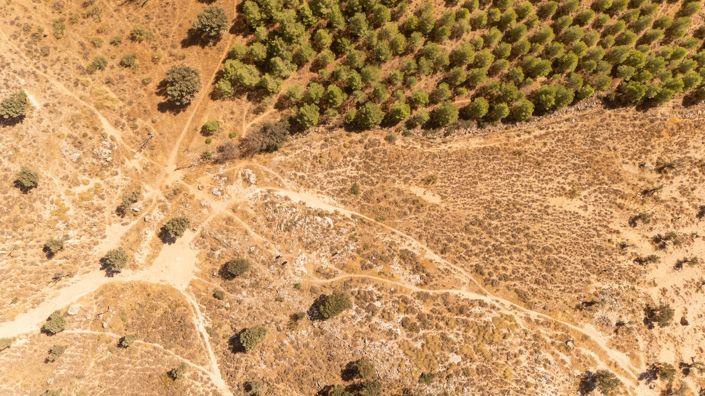 Image No.10-Plot for sale