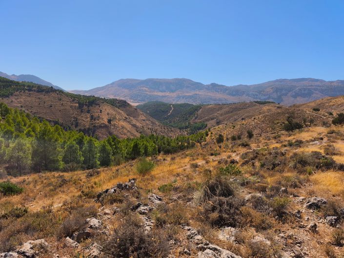 Image No.2-Plot for sale