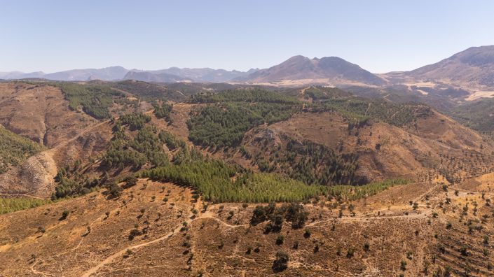 Image No.6-Plot for sale