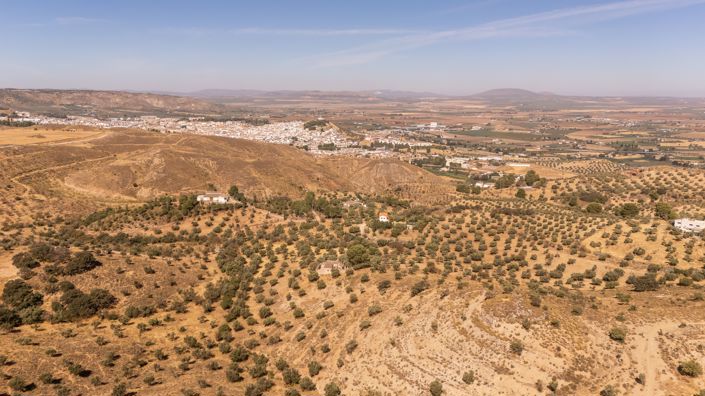 Image No.7-Plot for sale