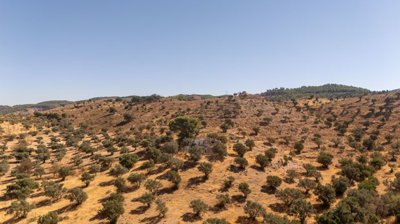 spcrm3850-omt61unwdpydirbn