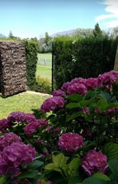 spcrm3938-dkg78gispk4trpxl