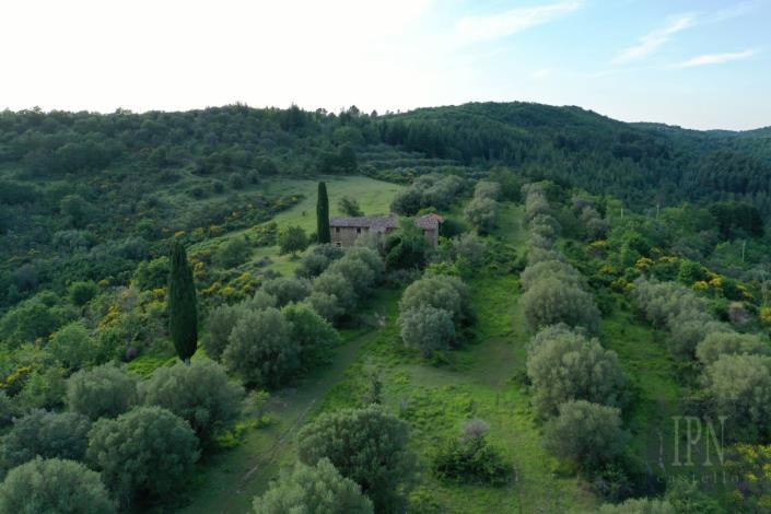 Image No.6-Farmhouse for sale