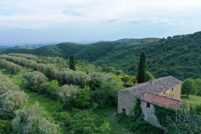 Image No.9-Farmhouse for sale