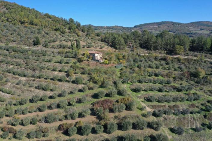 Image No.5-3 Bed Farmhouse for sale