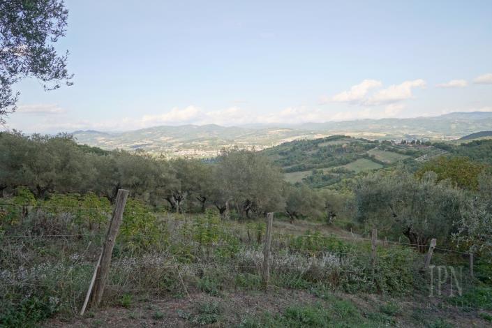 Image No.16-5 Bed Farmhouse for sale