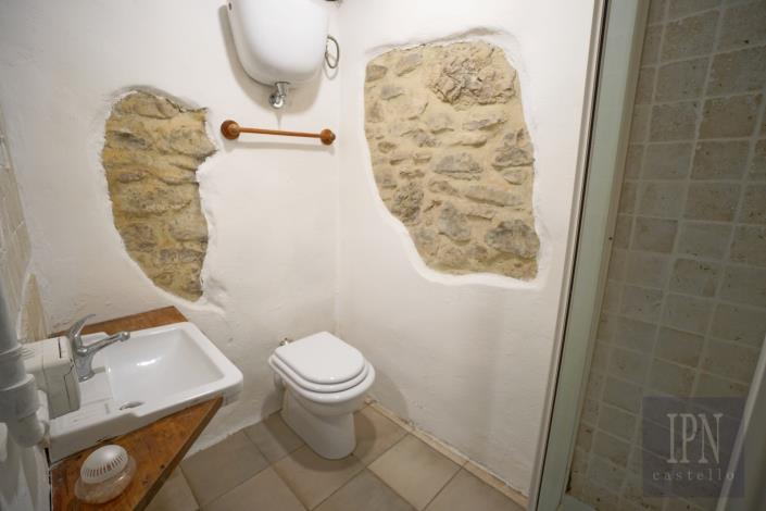 Image No.38-9 Bed Farmhouse for sale