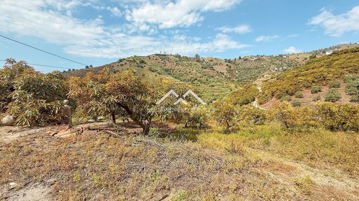 Image No.25-3 Bed Property for sale