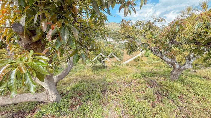 Image No.30-3 Bed Property for sale