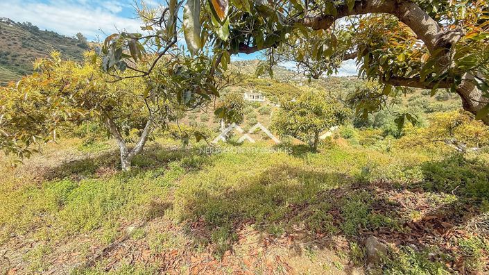 Image No.32-3 Bed Property for sale