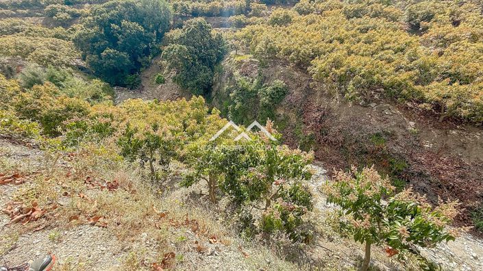 Image No.35-3 Bed Property for sale