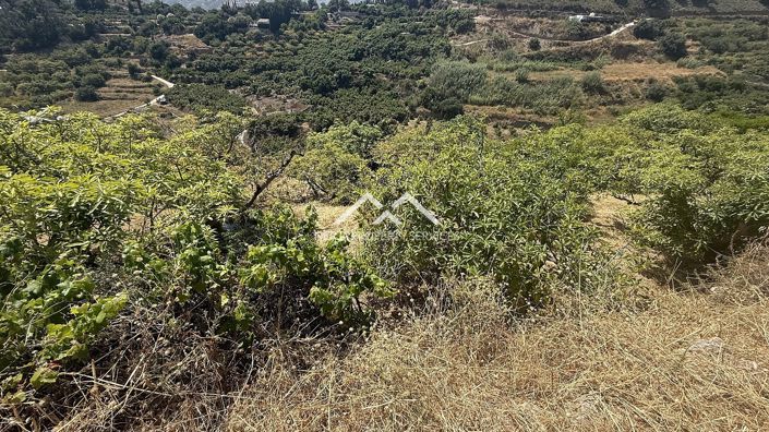 Image No.14-Property for sale