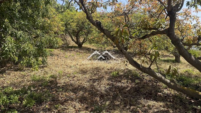 Image No.15-Property for sale