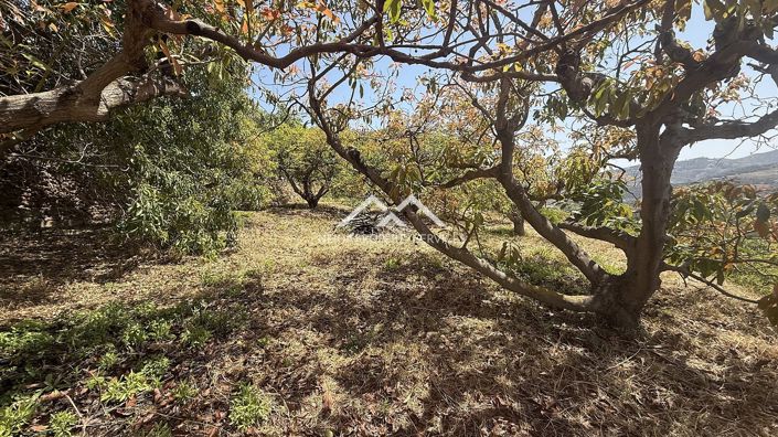 Image No.2-Property for sale