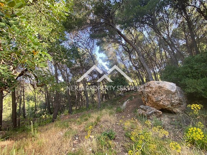 Image No.10-Property for sale