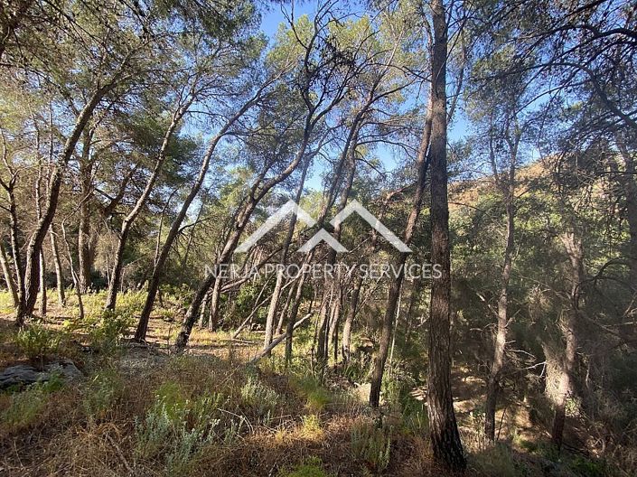 Image No.8-Property for sale