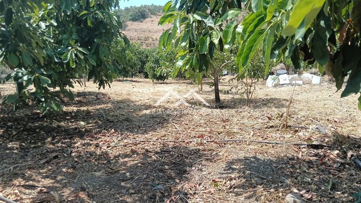 Image No.3-Property for sale