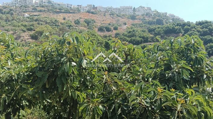 Image No.4-Property for sale