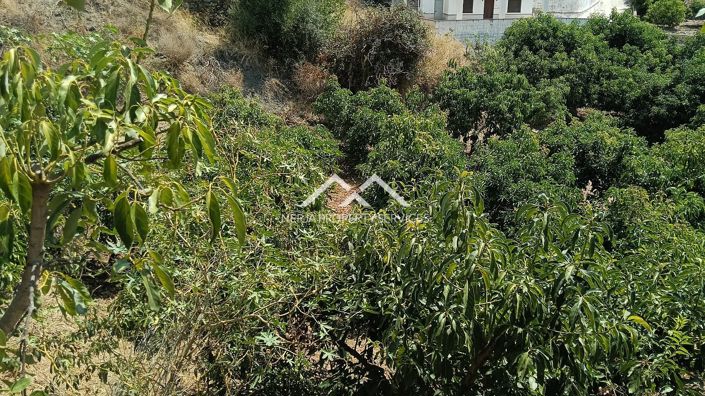 Image No.5-Property for sale