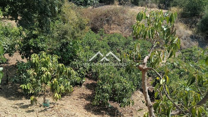 Image No.6-Property for sale