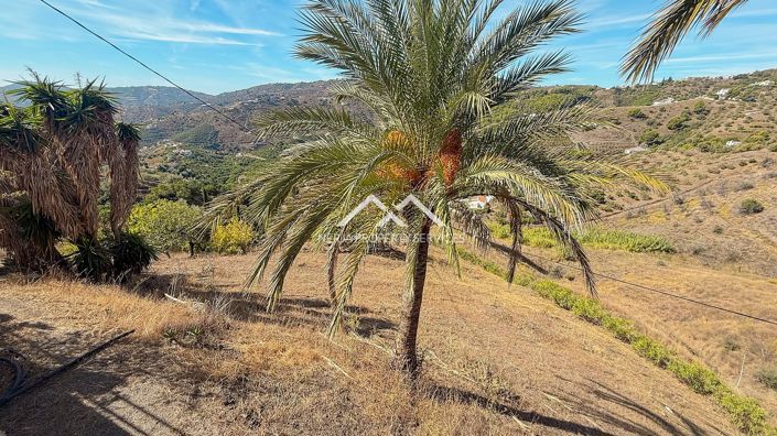 Image No.32-3 Bed Villa for sale