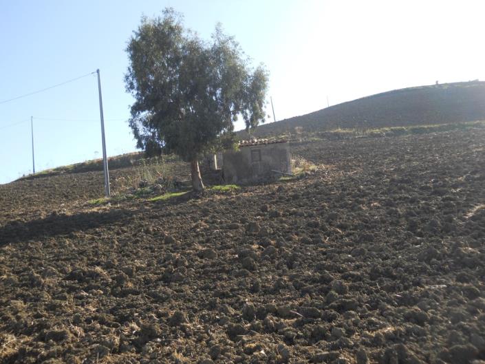 Image No.18-4 Bed Land for sale