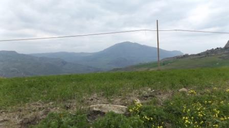 Image No.6-3 Bed Villa for sale