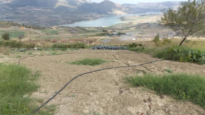 Image No.4-3 Bed Villa for sale