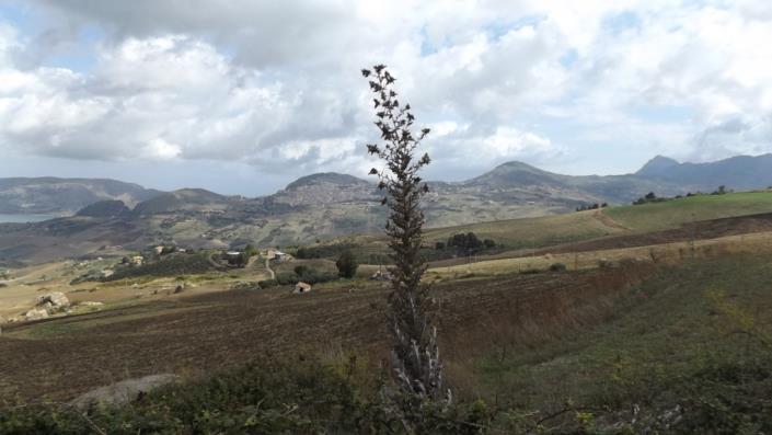 Image No.13-3 Bed Villa for sale