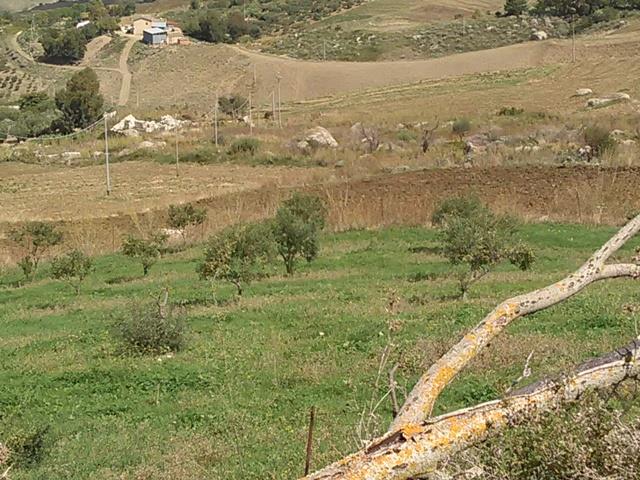 Image No.20-3 Bed Villa for sale