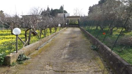 Image No.2-3 Bed Villa for sale