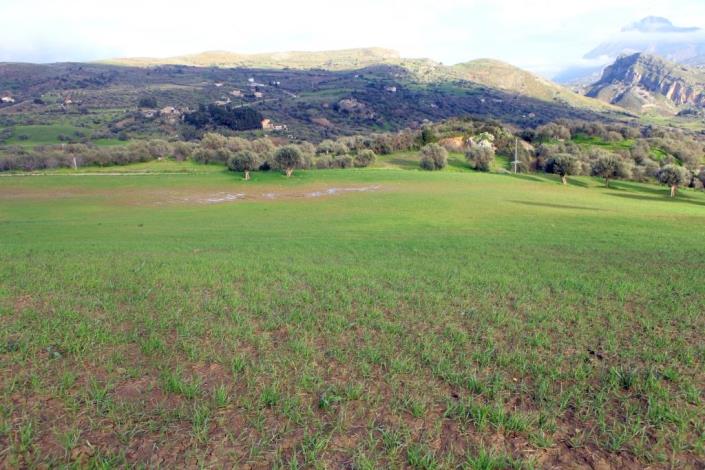 Image No.7-6 Bed Land for sale