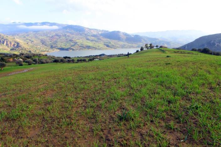 Image No.13-6 Bed Land for sale