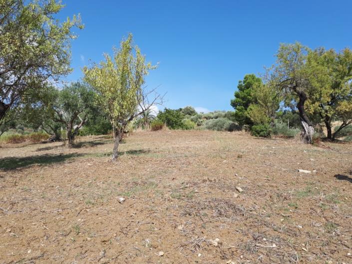 Image No.2-1 Bed Land for sale