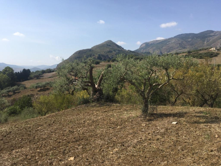 Image No.6-1 Bed Land for sale